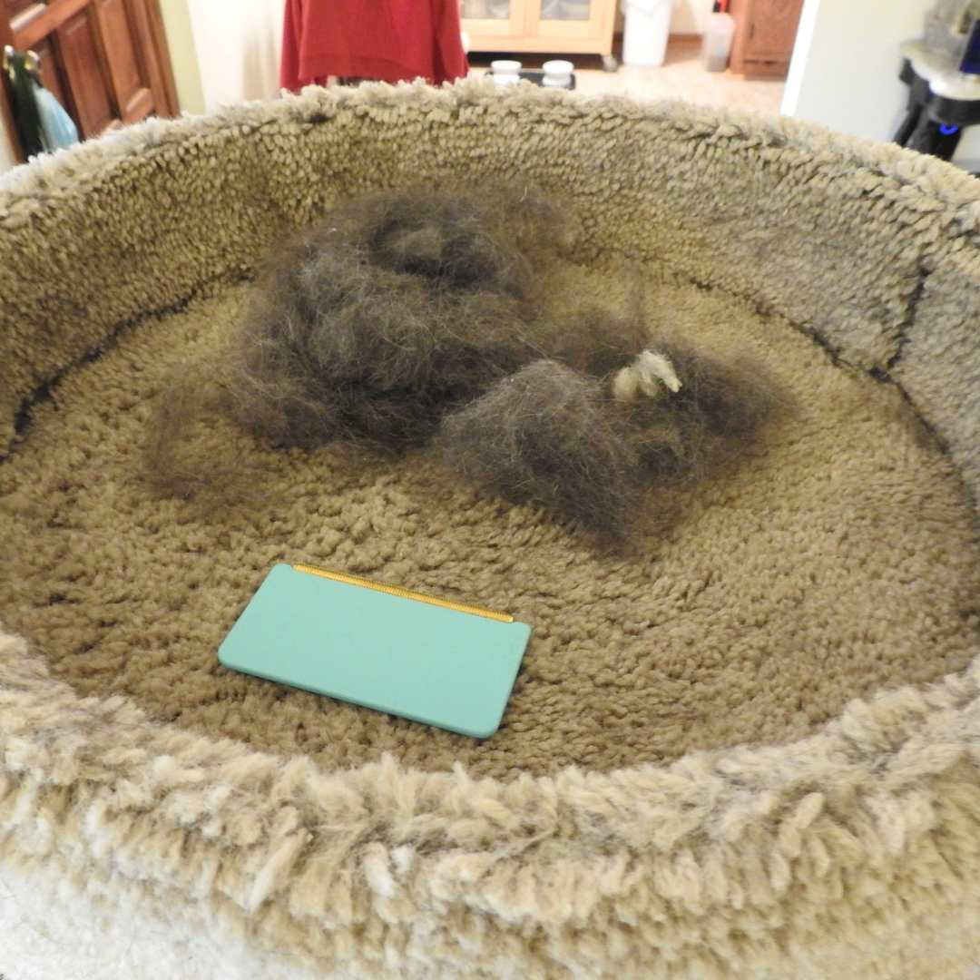 Complete Pet Hair Removal Kit a Mini, Pro & Xtra